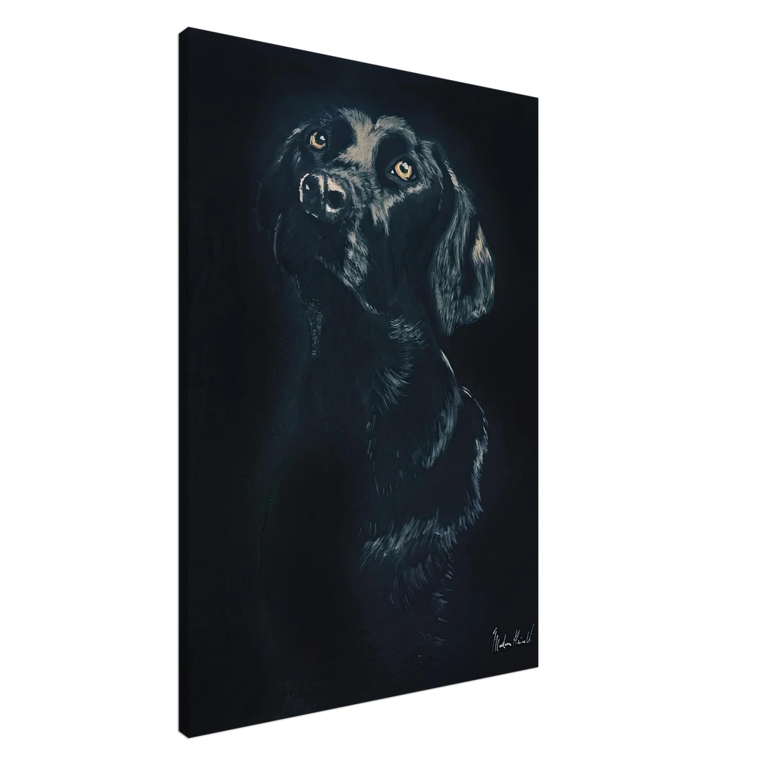 05983251-15d1-4002-bada-50301c75d82a