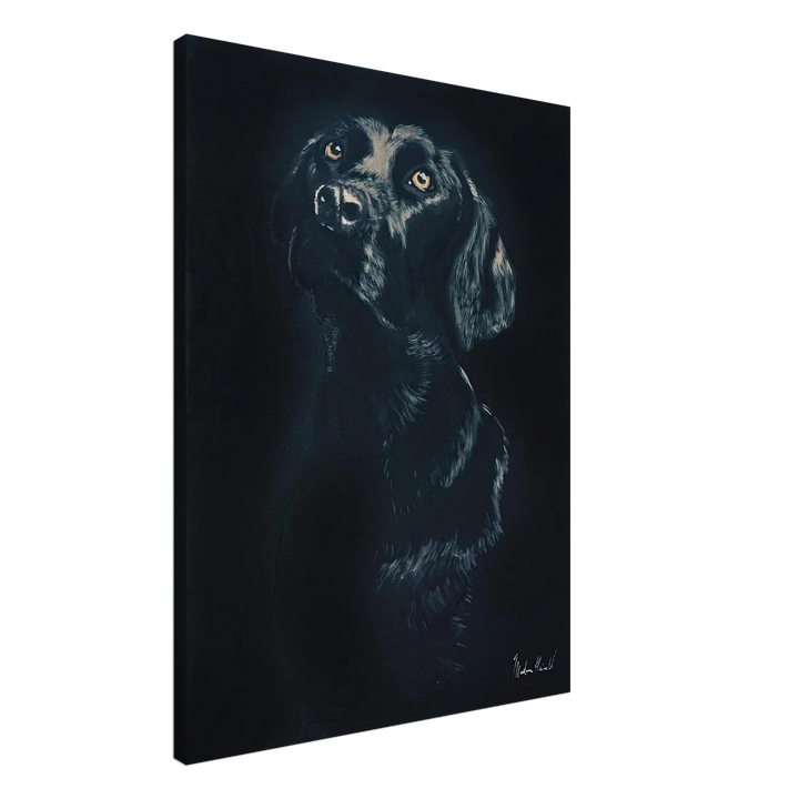 064d59a5-71b6-4c14-94e0-dd4485d256f4