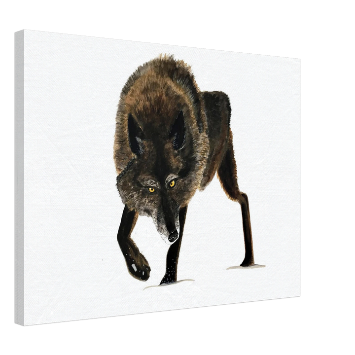 0882ae6d-9e2d-4e3f-bc9b-6d93ee4ad519