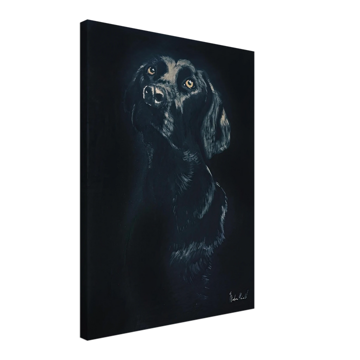 0fb80ef2-aa53-4926-8305-26eff4d4fa8b