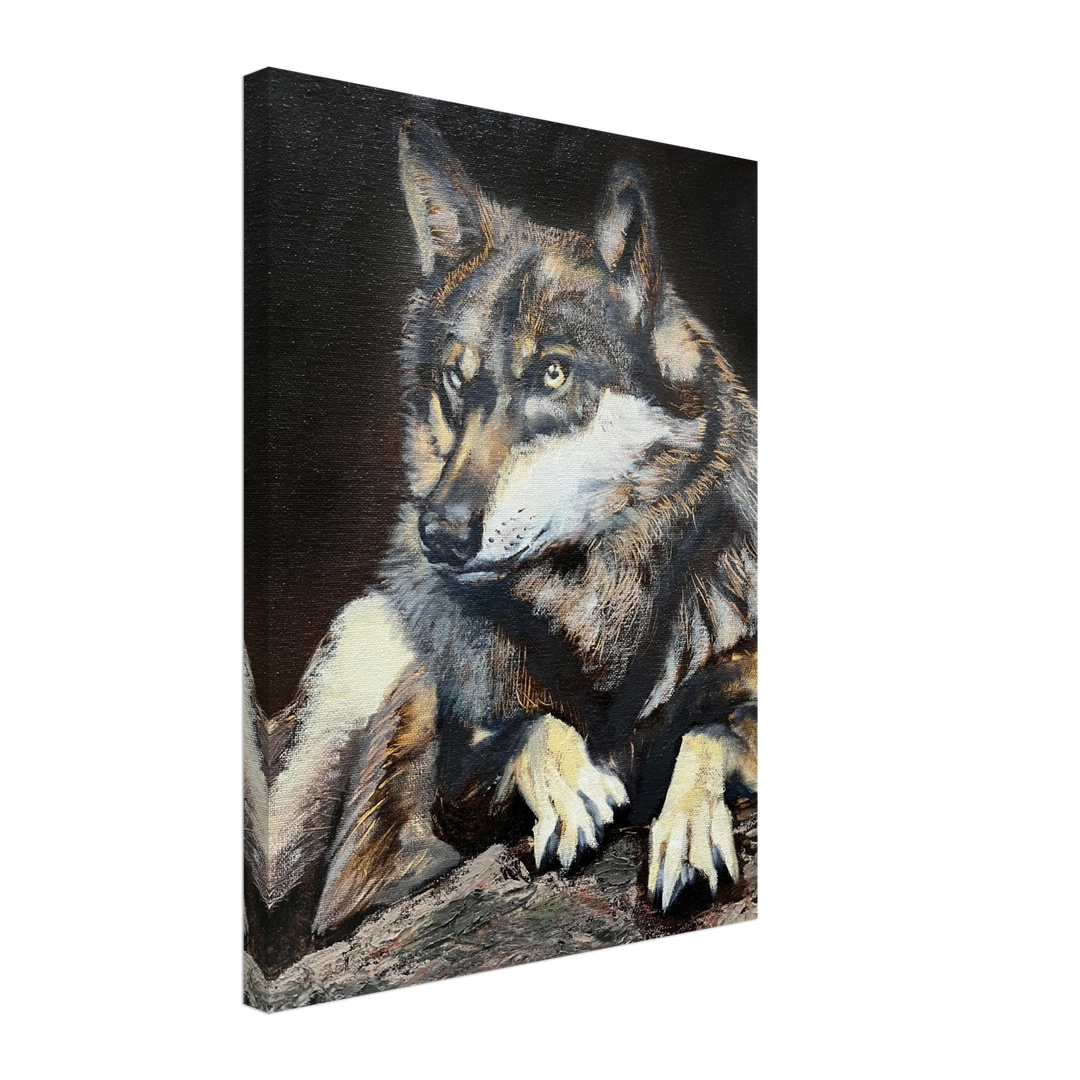 14dcf6a3-16c0-486a-9f0a-a27a0b5f3c49