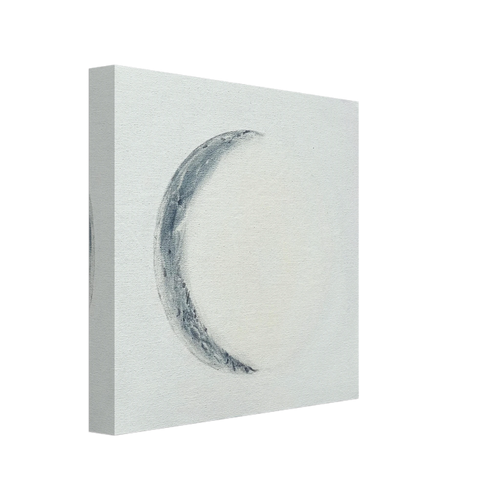 208b5b34-00c8-41c9-ad0b-ee86f19d9bd5