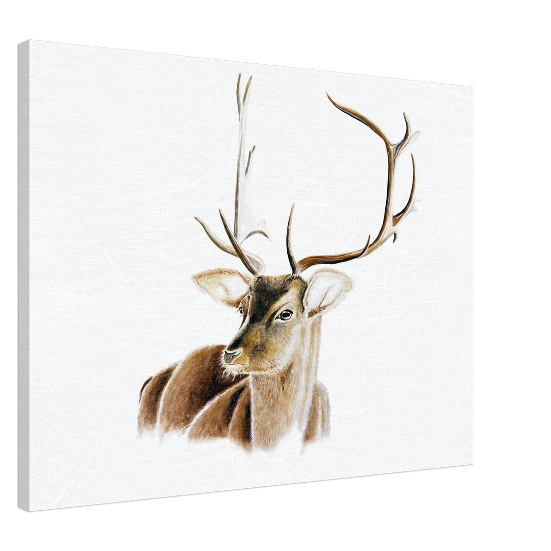 2fb2882f-fe44-4931-b0df-d5542e49bd49