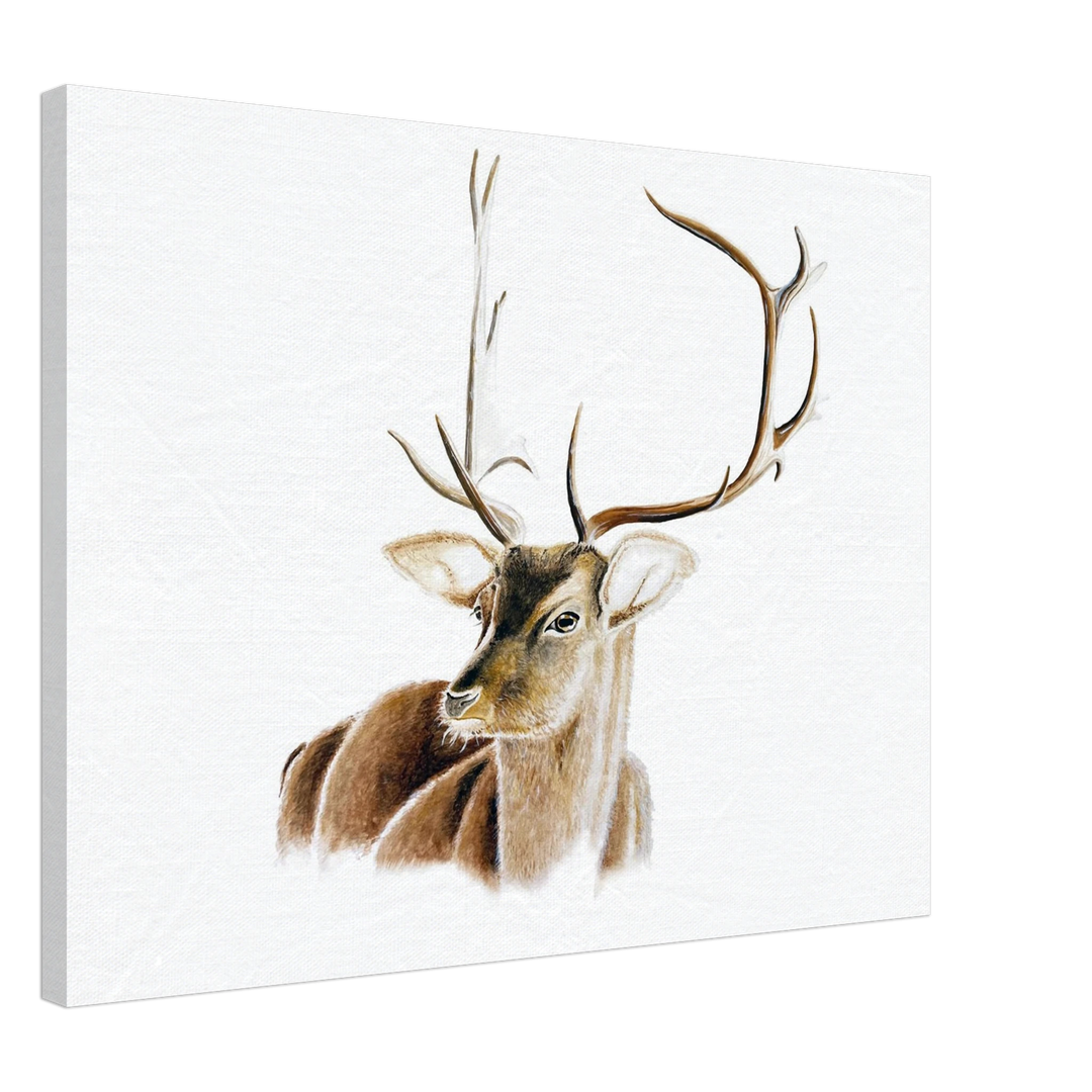 416d55a5-719d-4cdc-831d-bfa1d71f4477