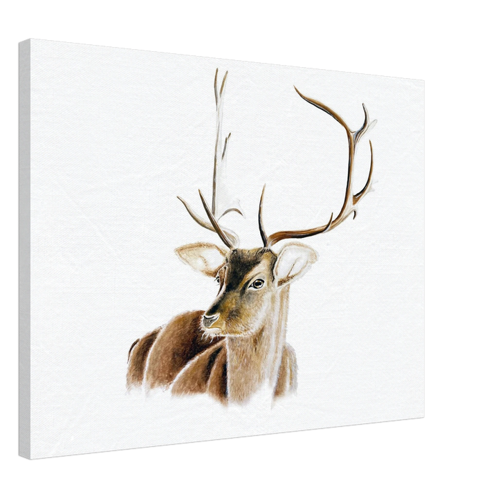 416d55a5-719d-4cdc-831d-bfa1d71f4477