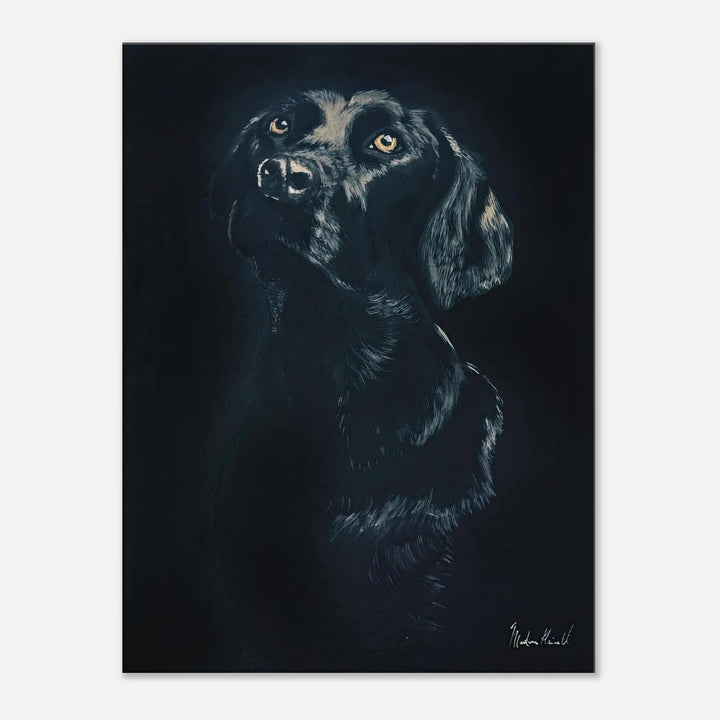 458a117e-a3ce-4646-81ad-ca7fb3aeeeec