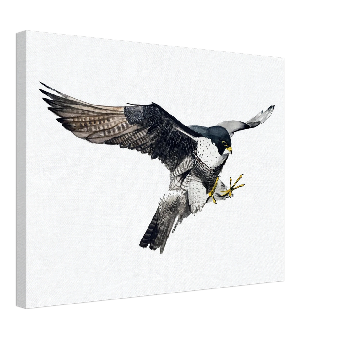 4a1f0f7d-f97e-44f5-922a-1a5e2a037af5