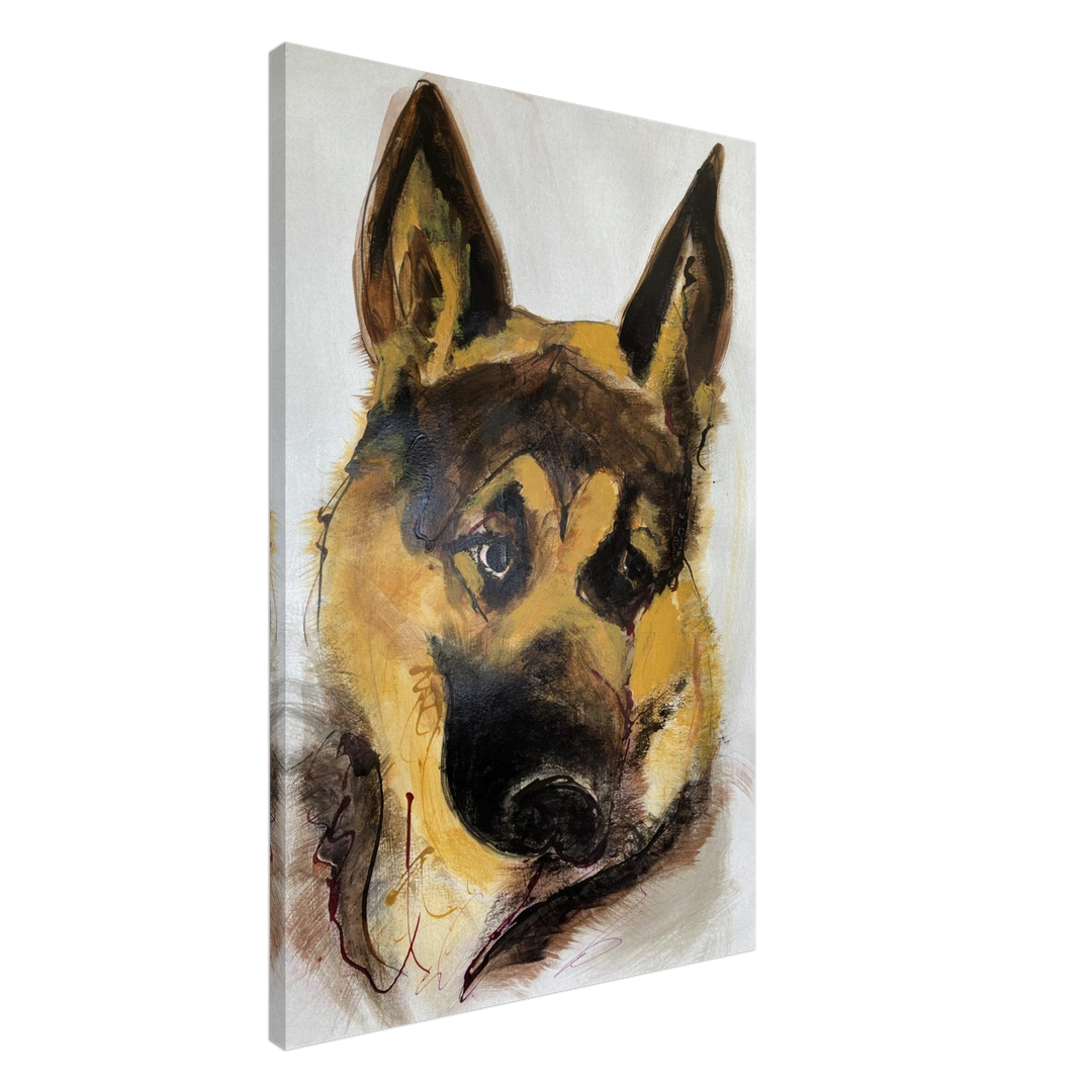 4b0535fb-80e2-4b04-af8b-52571c7c9902