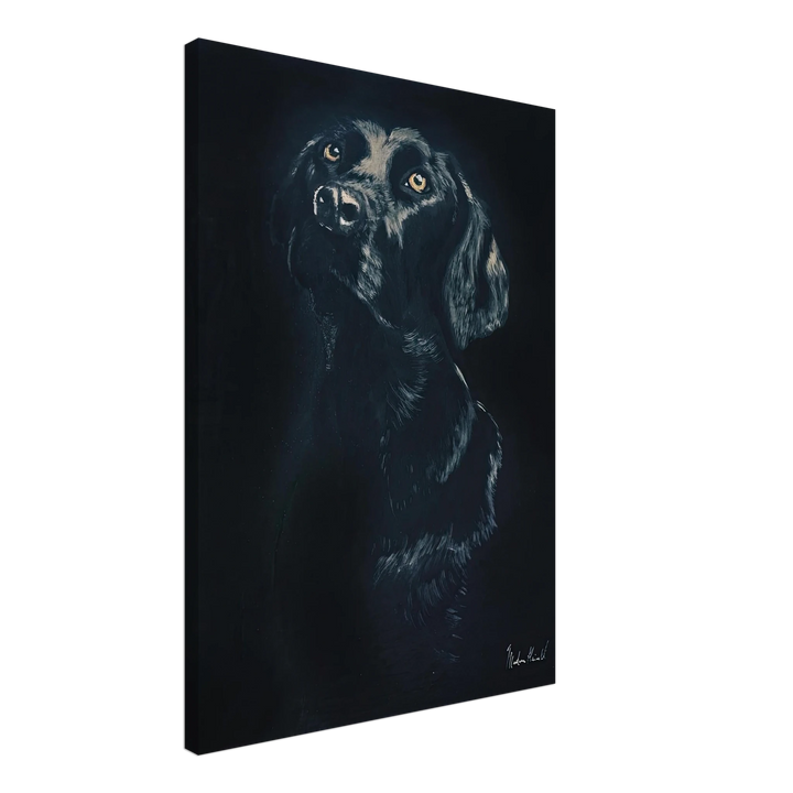 4efe1bd6-37cc-4cf1-be13-6df6b80cbb4c