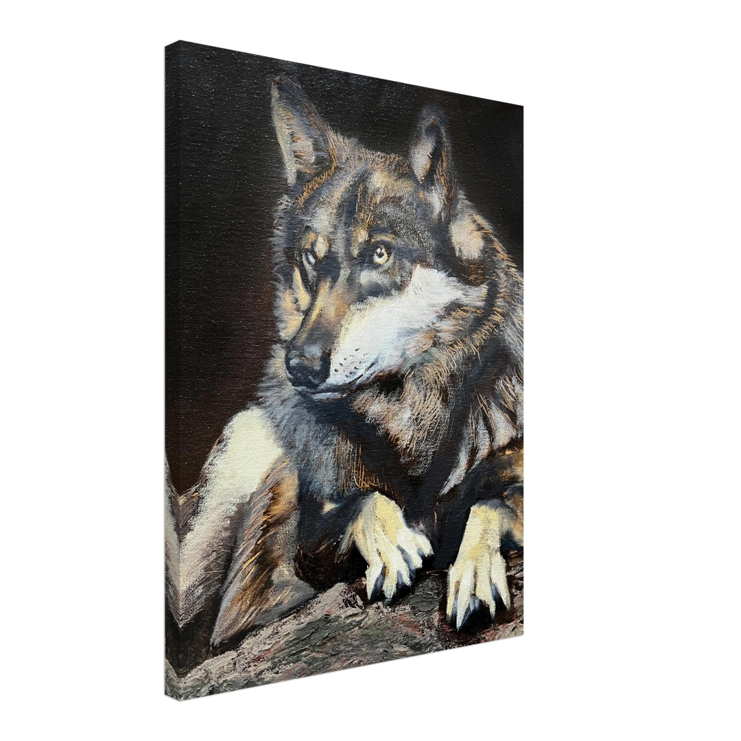 54fb5b51-2abd-44ad-abb1-ca901b1a175a