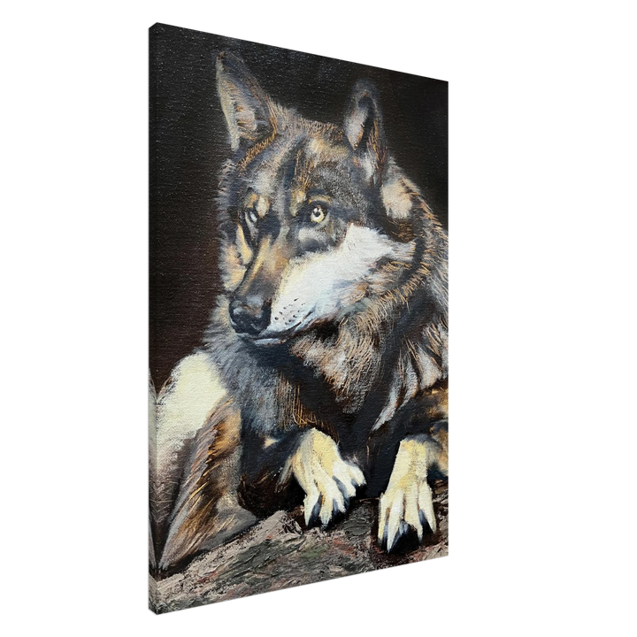 79c7f31b-5988-4a79-895c-60e7954861ec