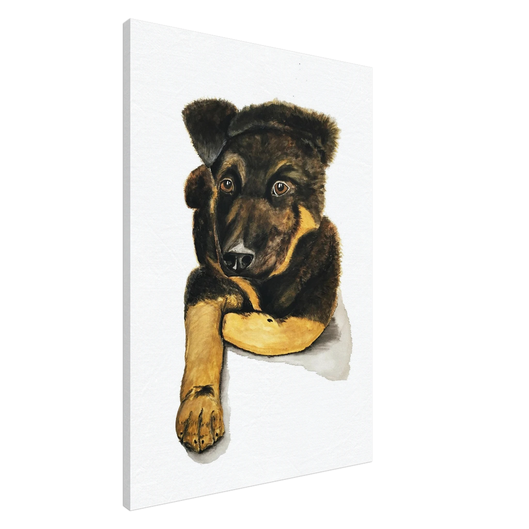 8409b00e-6c88-4b32-bf7a-4b5bb5651460