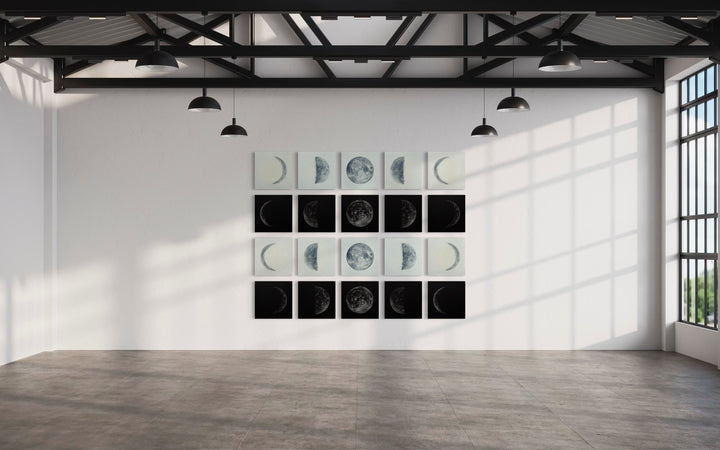 Phase V Light