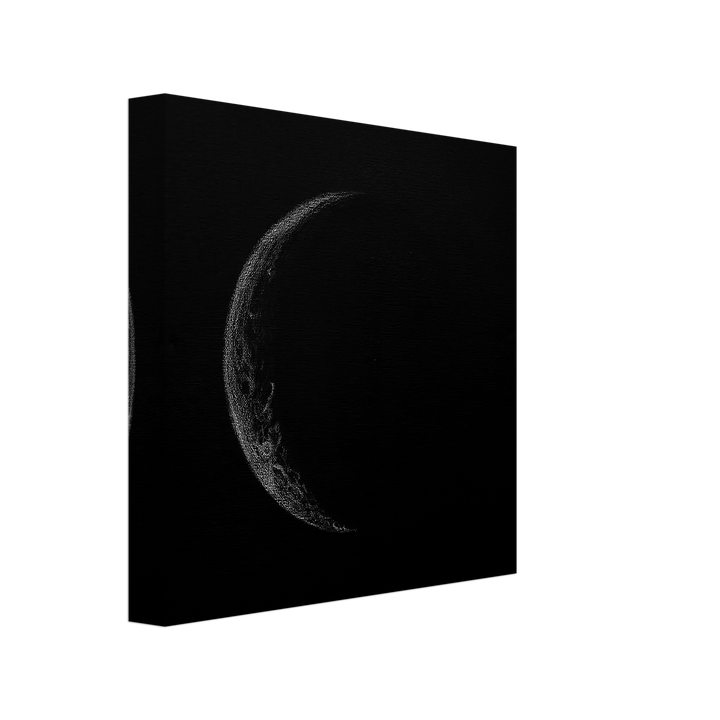 8b8636cd-5760-4839-9894-48f92de935d4