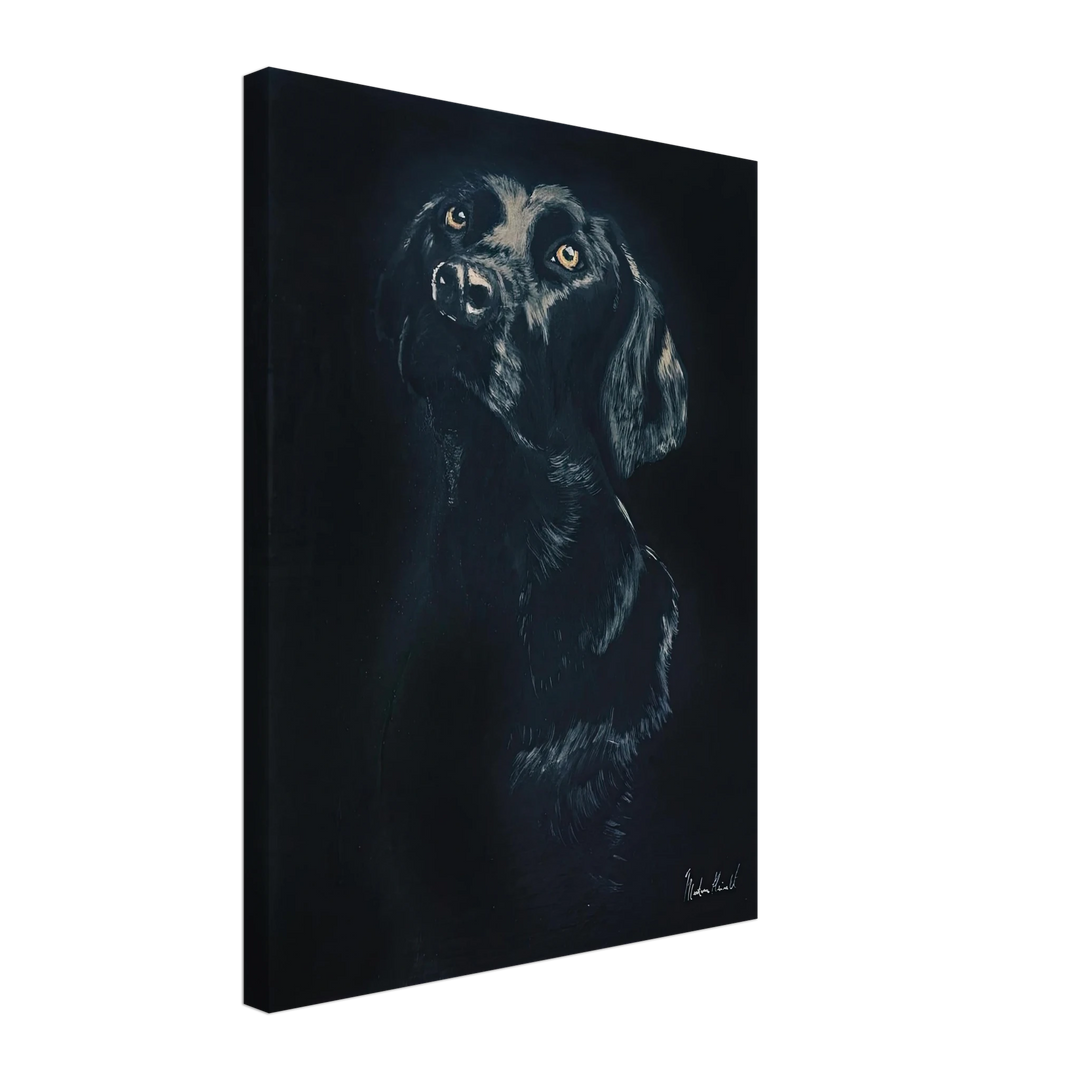 91a5ab0e-97e2-4c2c-a740-b5f8323e2ffd