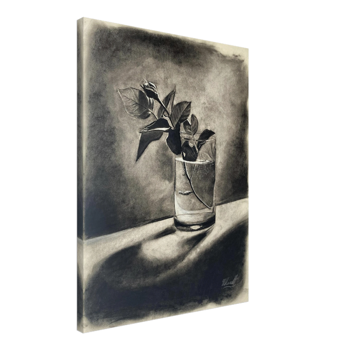 95d8a55e-0f85-435a-988c-73f89d533683