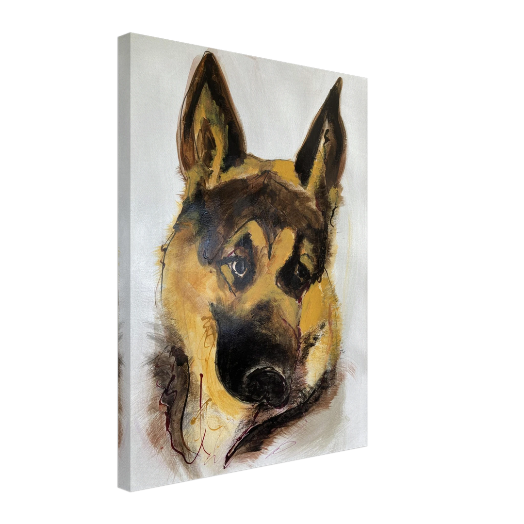 97de5d02-d6ac-4436-a137-4da9fd1a27ea