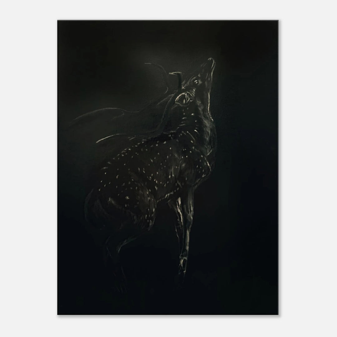 982c707a-b35c-47eb-bd74-5631fa3b2cb4