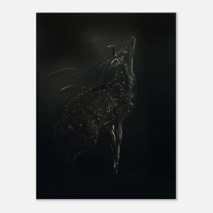 982c707a-b35c-47eb-bd74-5631fa3b2cb4