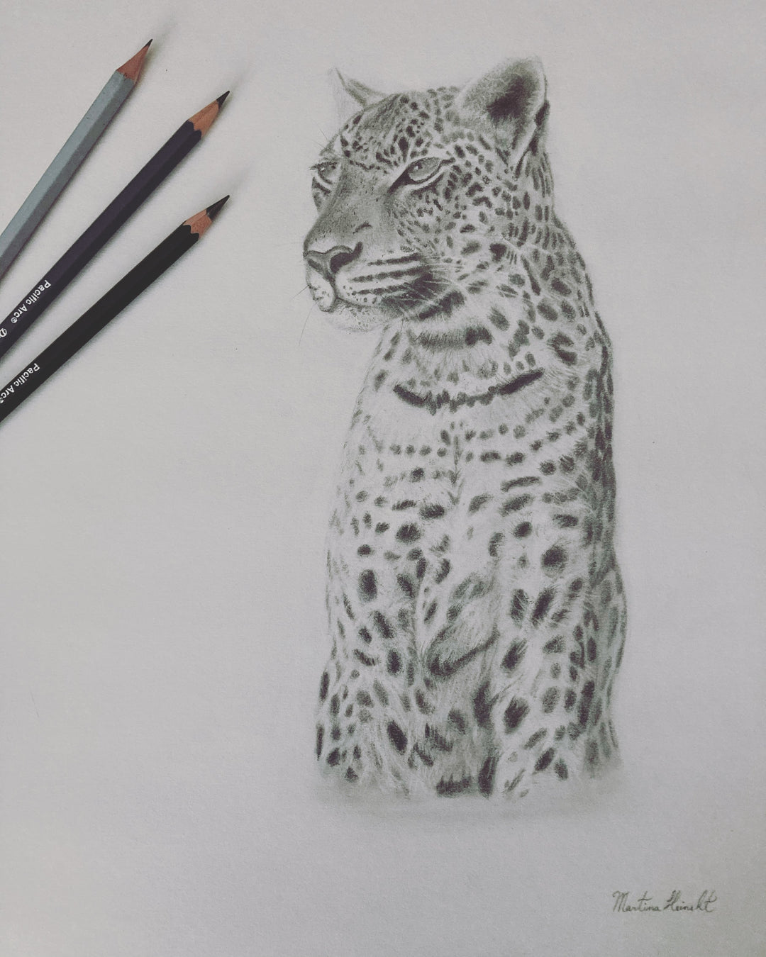 Standing Firm | Leopard in Graphite