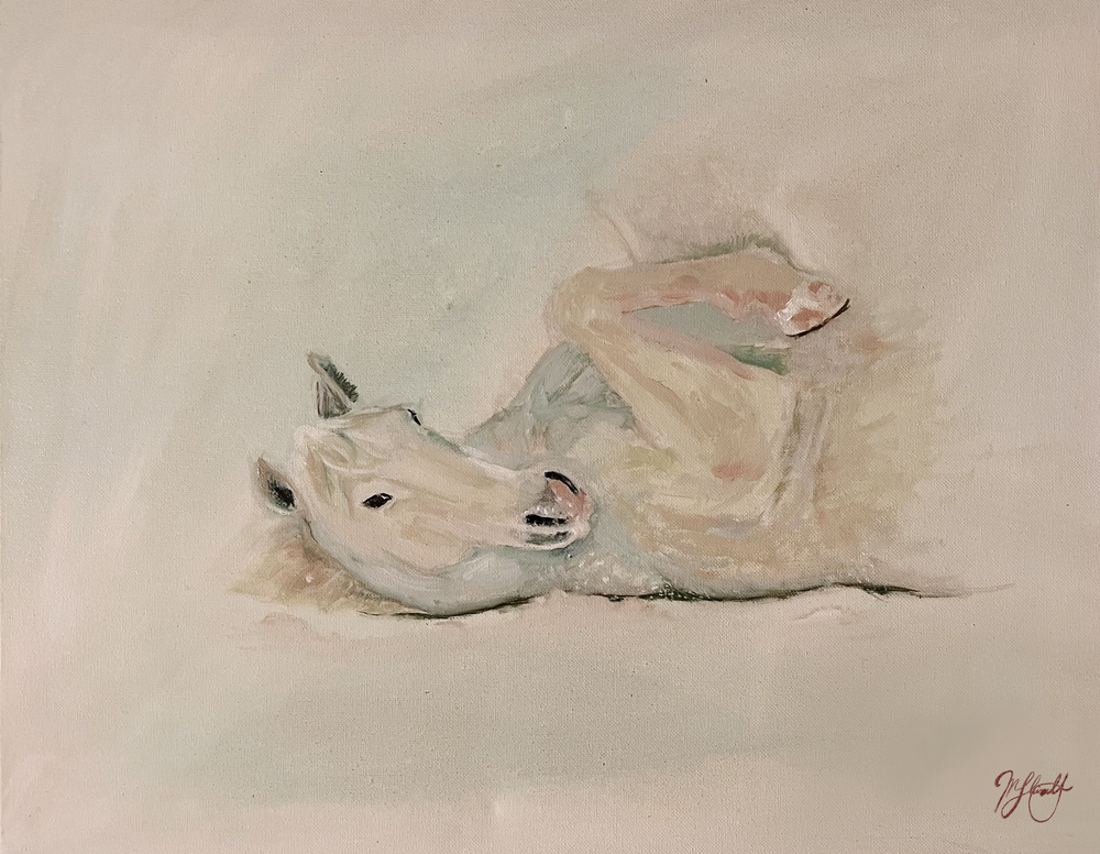 Showing Off | White Horse in White on White Oil