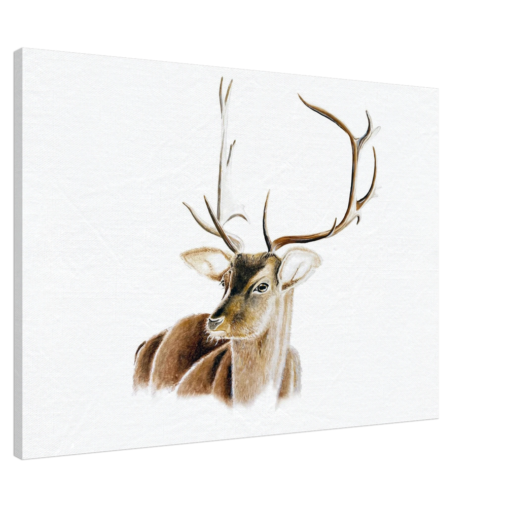 bf12b538-66bc-4ff7-a584-b3a150efff5e