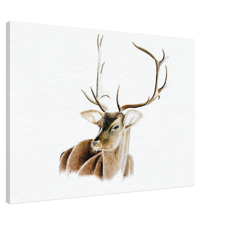 bf12b538-66bc-4ff7-a584-b3a150efff5e