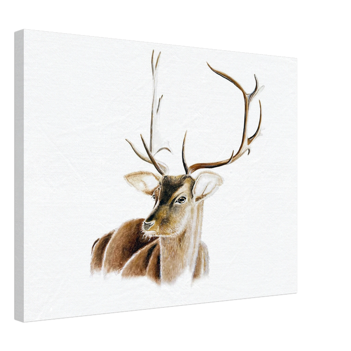 c9e2d37f-27d5-46d4-89f9-e17d0786805f