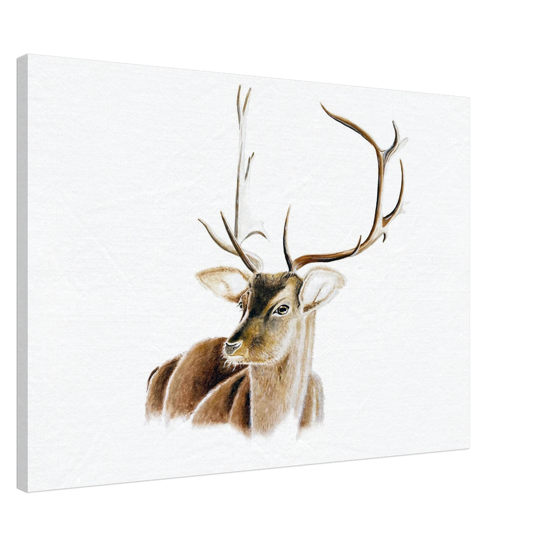 d016e876-7c53-40f1-bcc8-588e73b456e0