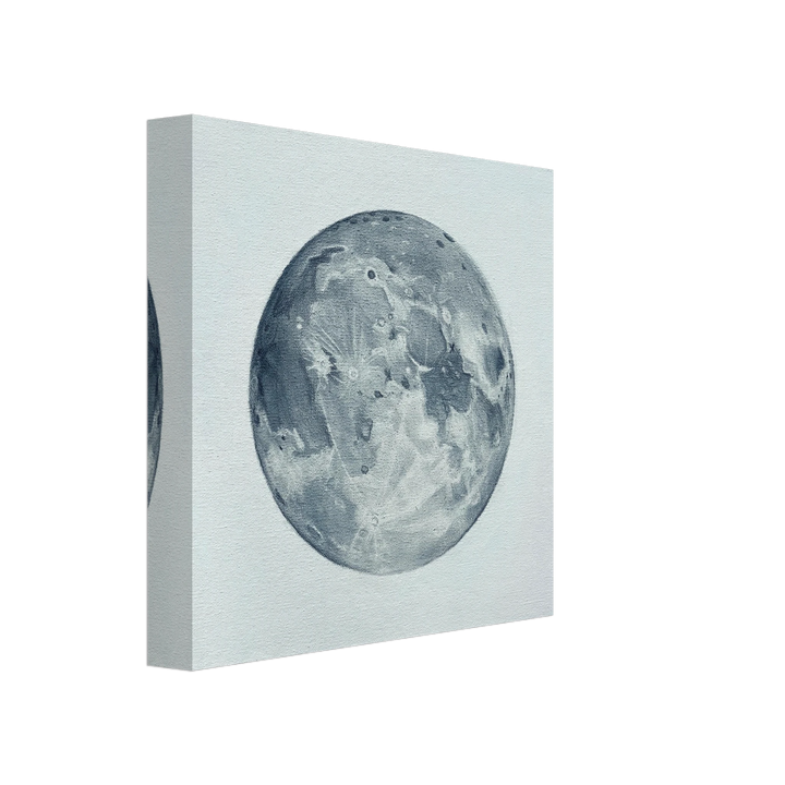 d0860898-8711-4500-a2aa-1a8f585cc1d0