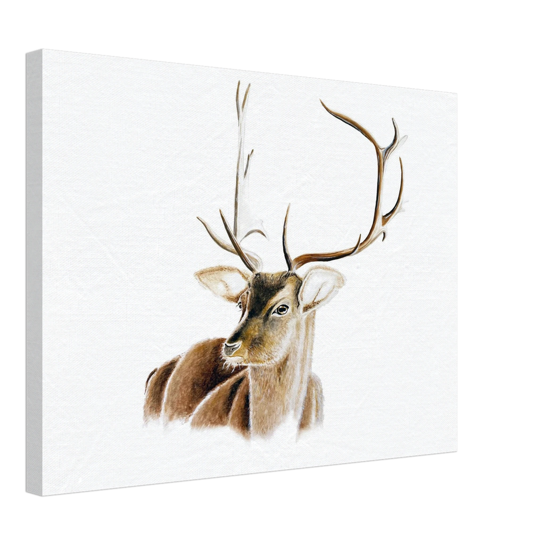 d092820f-a2da-4268-9596-d9c0bf5f455a