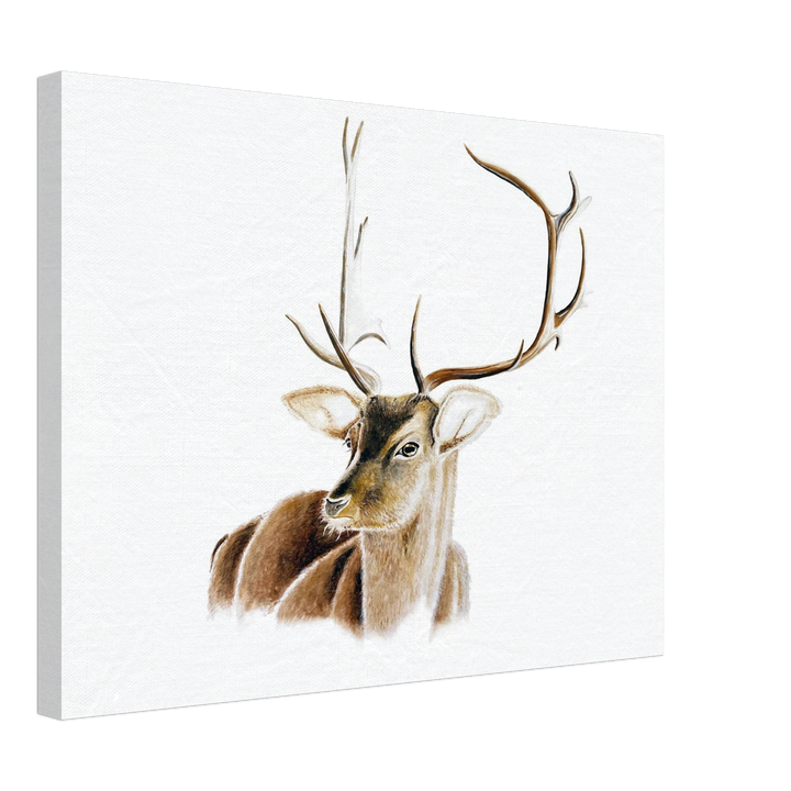 d092820f-a2da-4268-9596-d9c0bf5f455a