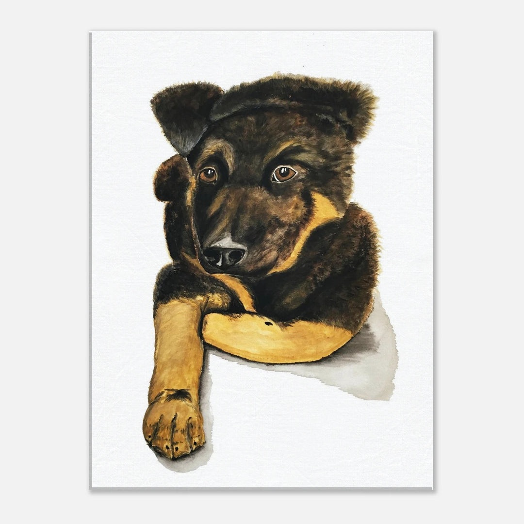 d1245668-a908-49db-bf3a-d2a5ad10d19f