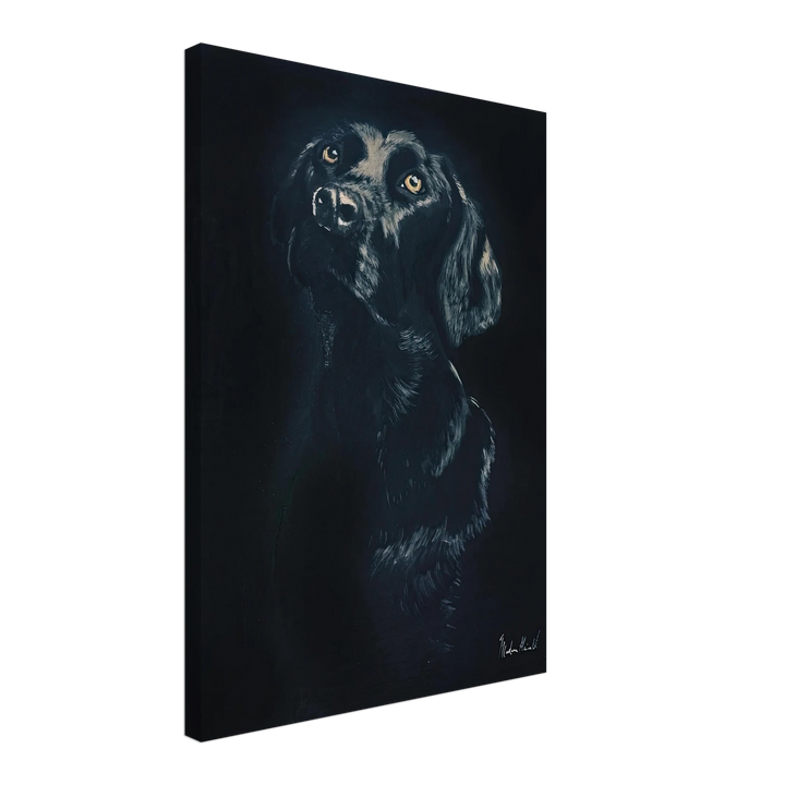 ee216ed4-8ff0-412f-9f88-41eec0450563